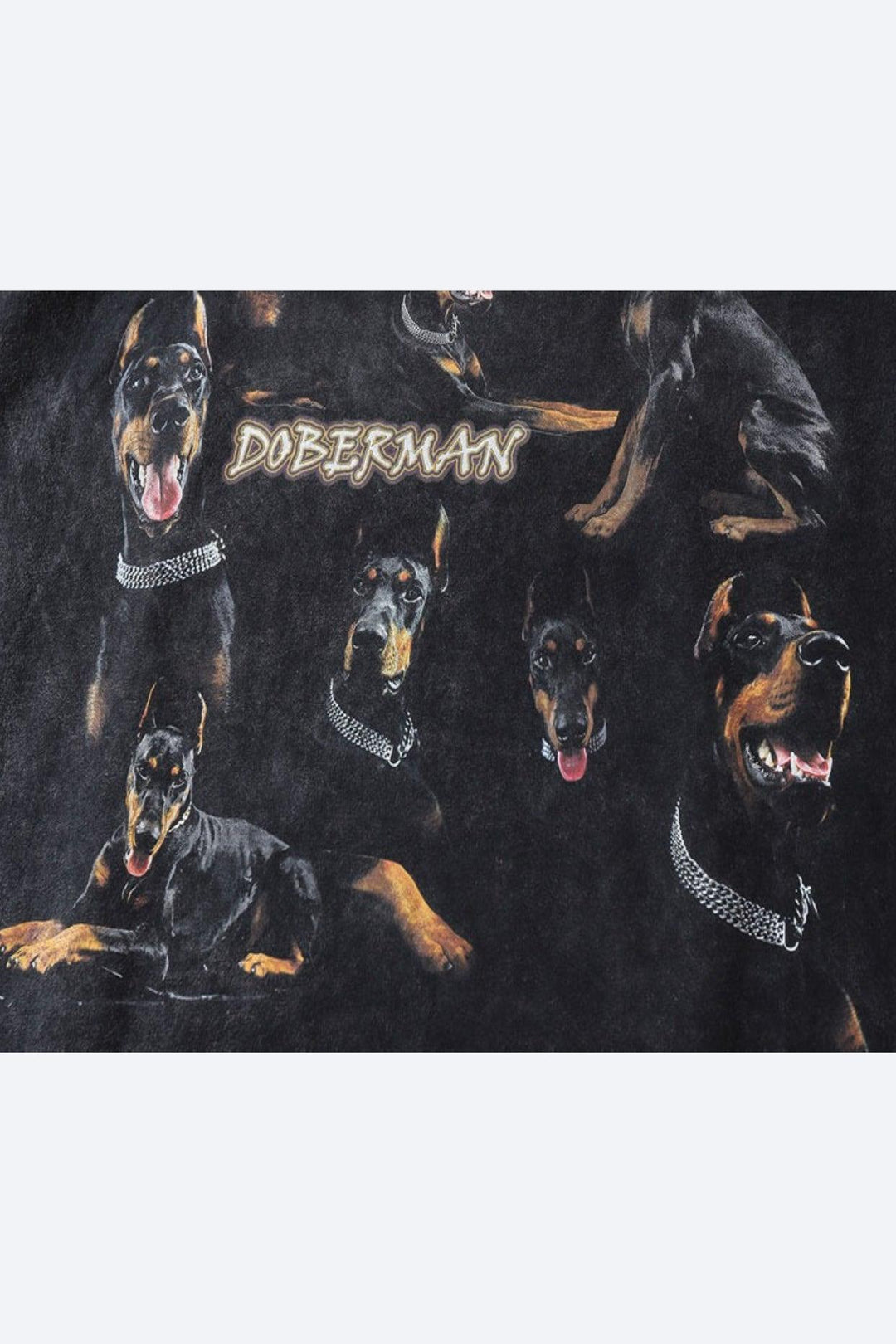 Doberman